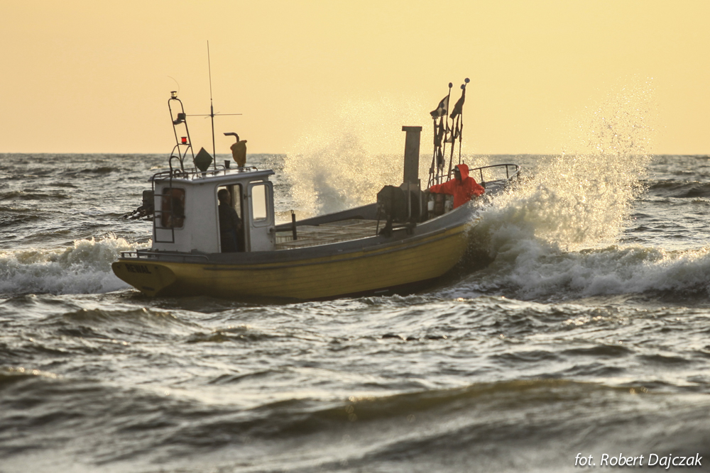 Ryby Z Kutra Rewal Fot Robert Dajczak 3848 Kopia