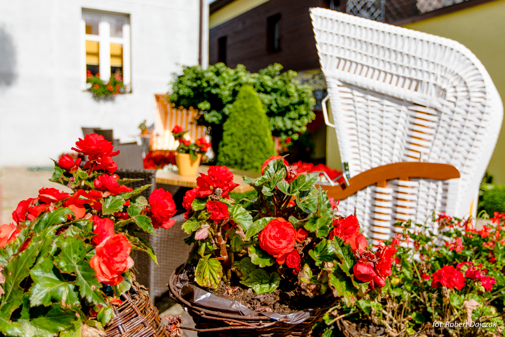 Fot Robert Dajczak9248