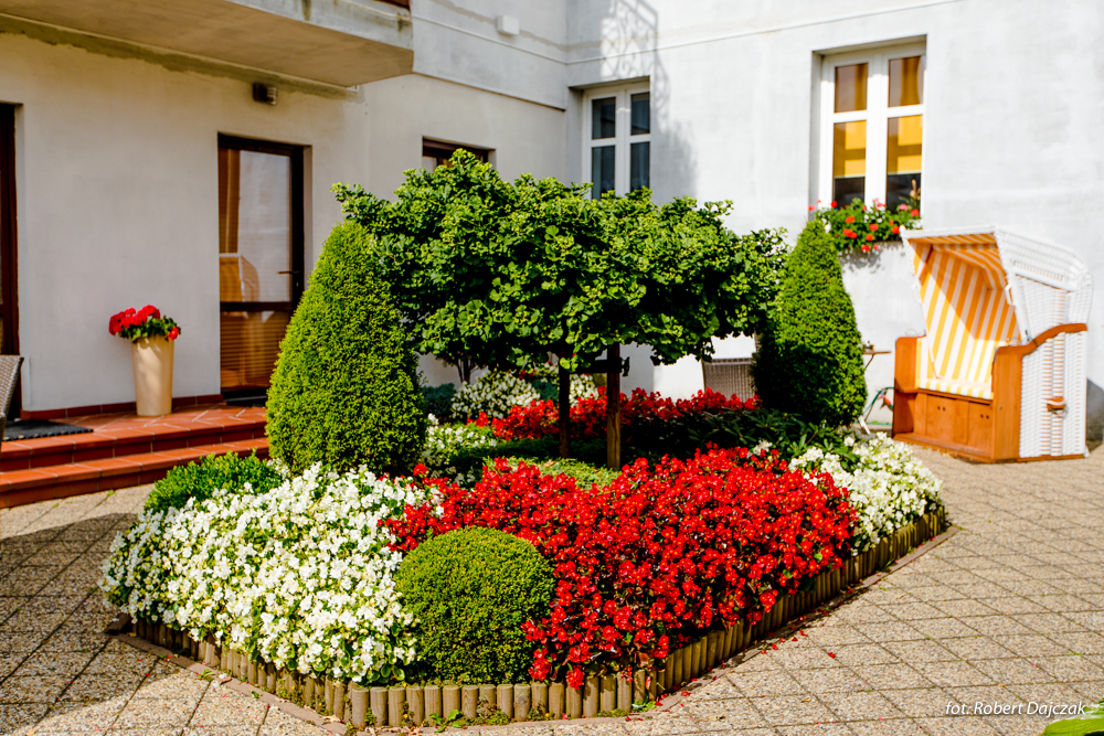 Fot Robert Dajczak9249