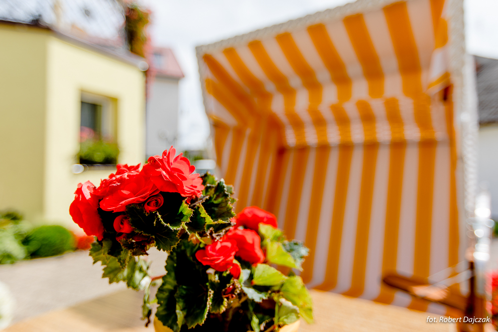 Fot Robert Dajczak9258